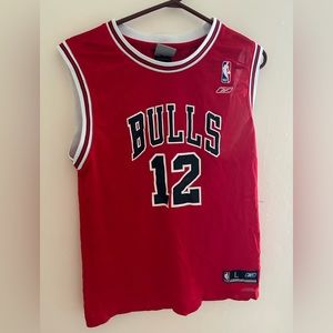 Bulls Kid’s Jersey